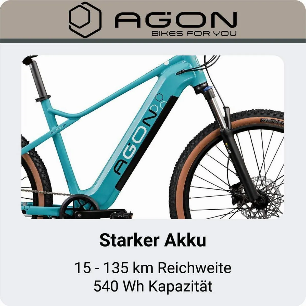 Agon E-Bike Mountainbike Alpha, 10 Gang Shimano Deore, 540 Wh Akku, stabiler Aluminiumrahmen 3