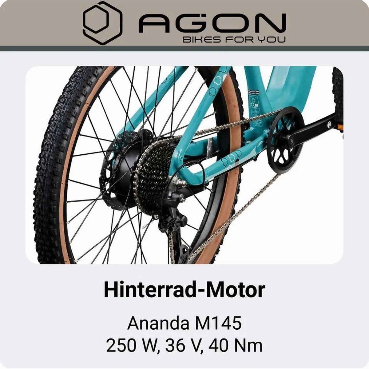 Agon E-Bike Mountainbike Alpha, 10 Gang Shimano Deore, 540 Wh Akku, stabiler Aluminiumrahmen 5