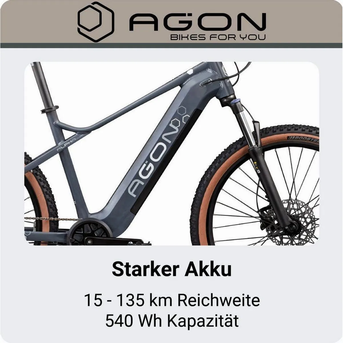Agon E-Bike Mountainbike Alpha, 10 Gang Shimano Deore, 540 Wh Akku, Heckmotor 3