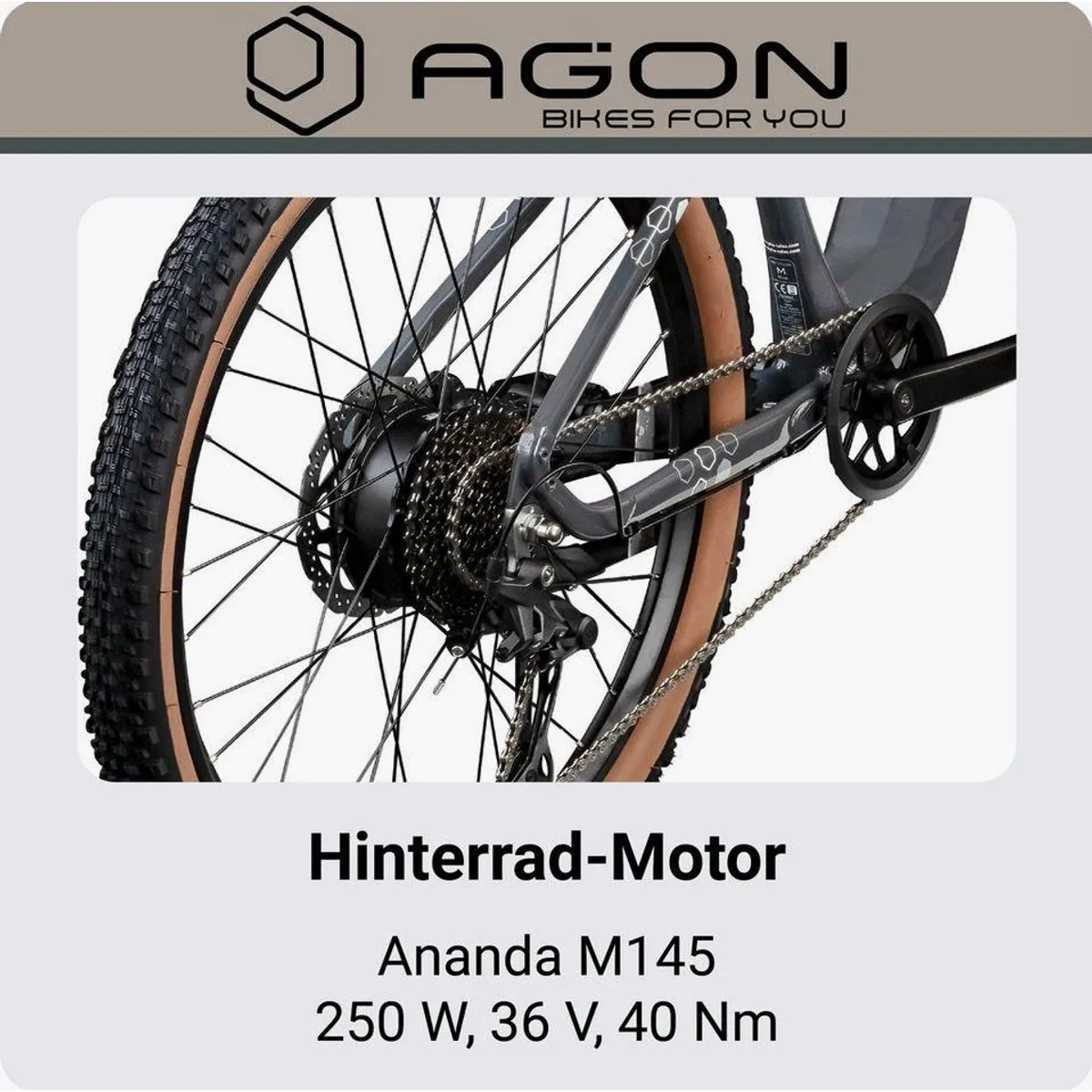 Agon E-Bike Mountainbike Alpha, 10 Gang Shimano Deore, 540 Wh Akku, Heckmotor 5