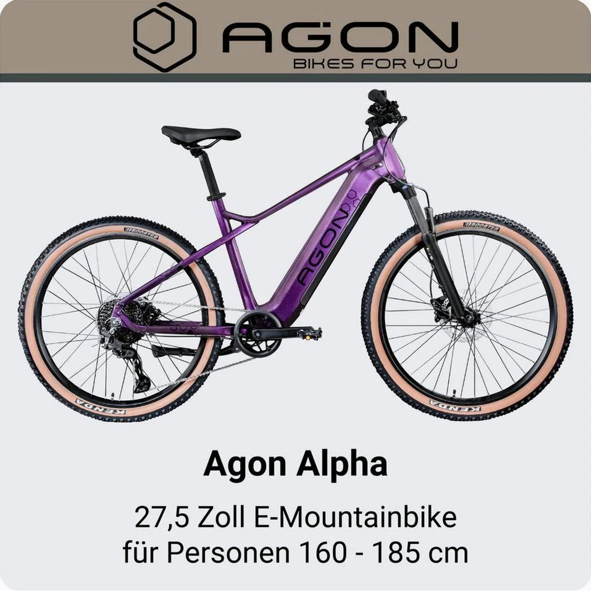 Agon E-Bike Mountainbike Alpha, leistungsstarker Heckmotor, 10-Gang Shimano Deore — ideal für Damen und Herren 2