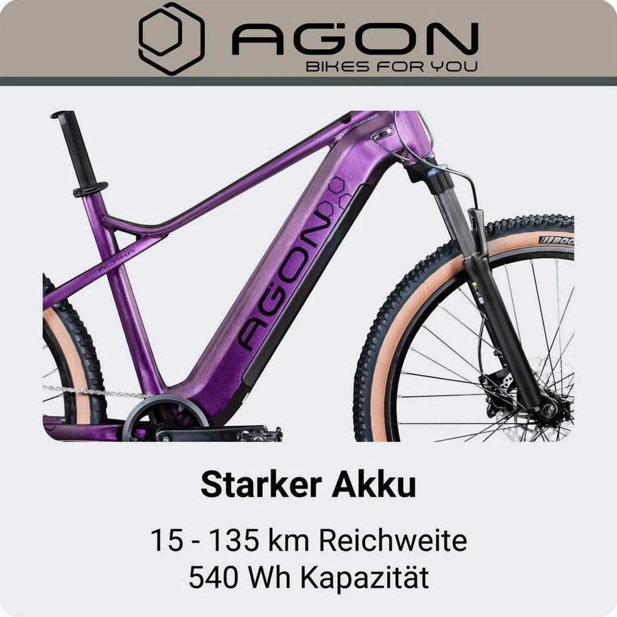 Agon E-Bike Mountainbike Alpha, leistungsstarker Heckmotor, 10-Gang Shimano Deore — ideal für Damen und Herren 3