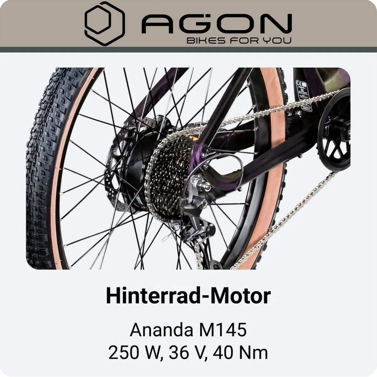 Agon E-Bike Mountainbike Alpha, leistungsstarker Heckmotor, 10-Gang Shimano Deore — ideal für Damen und Herren 5
