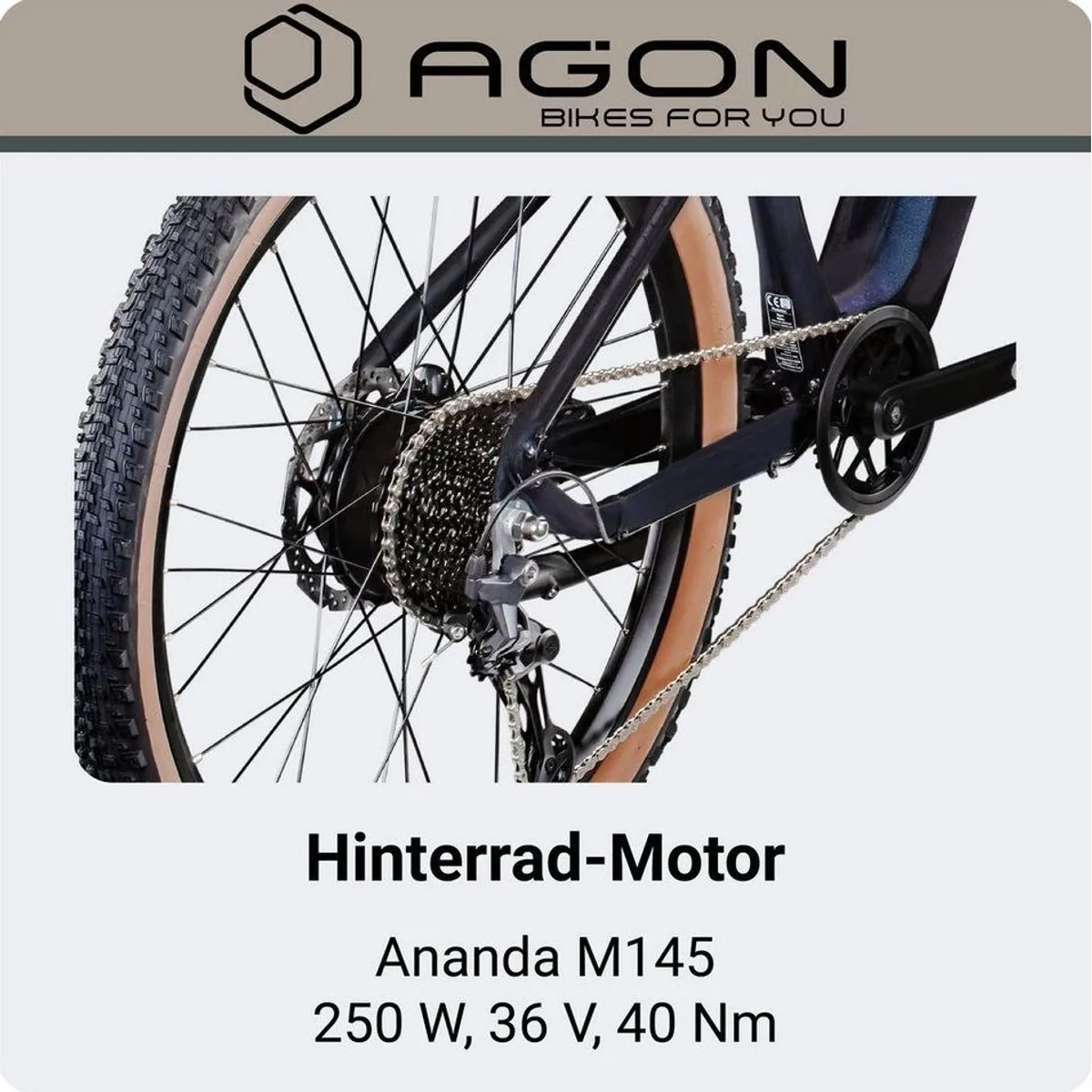 Agon E-Bike Mountainbike Alpha, 10 Gang Shimano Deore, 540 Wh Akku — kraftvoll, präzise, vielseitig 5
