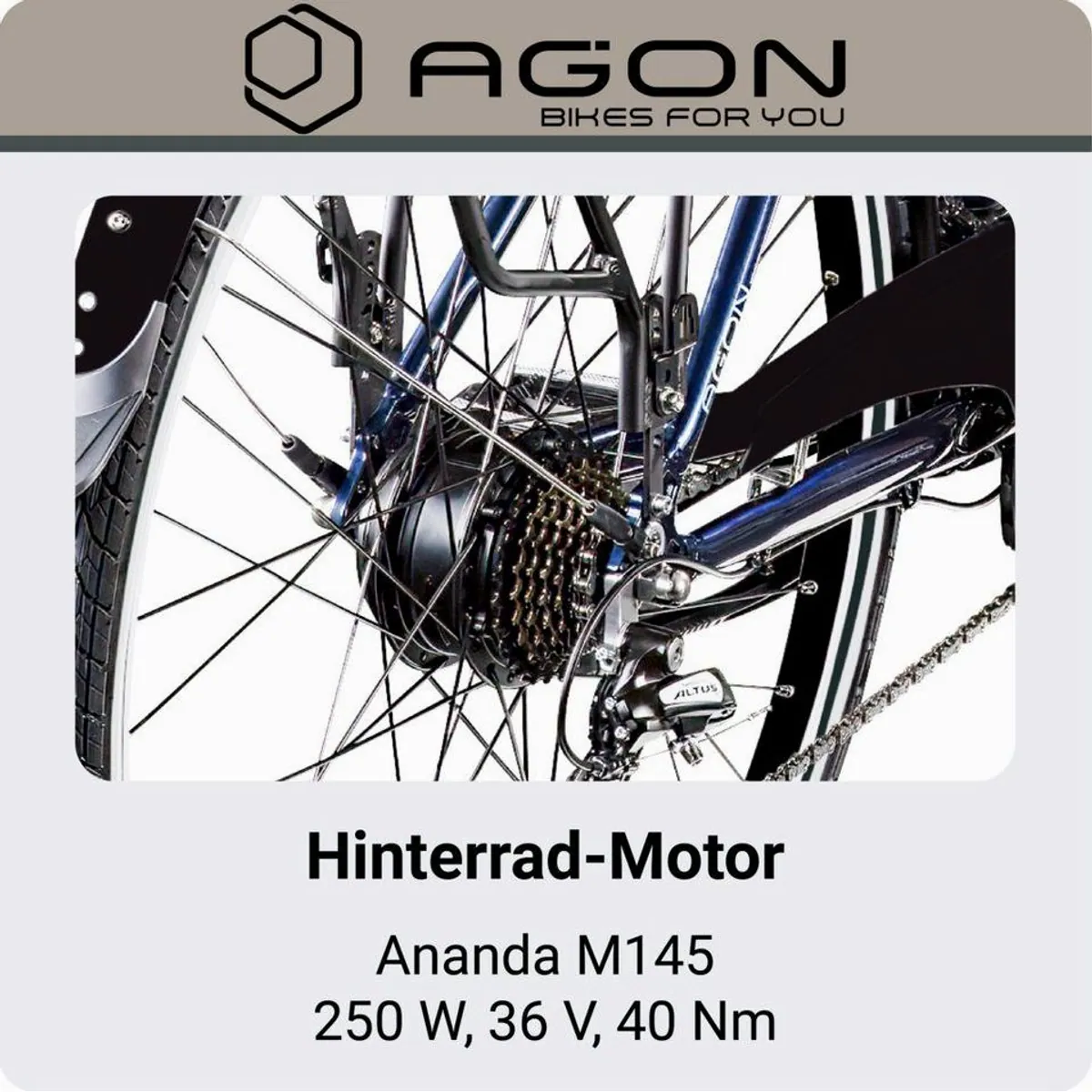 Agon Avesa E-Bike Trekkingrad, 21 Gang, 250W Motor, 374 Wh Akku 5