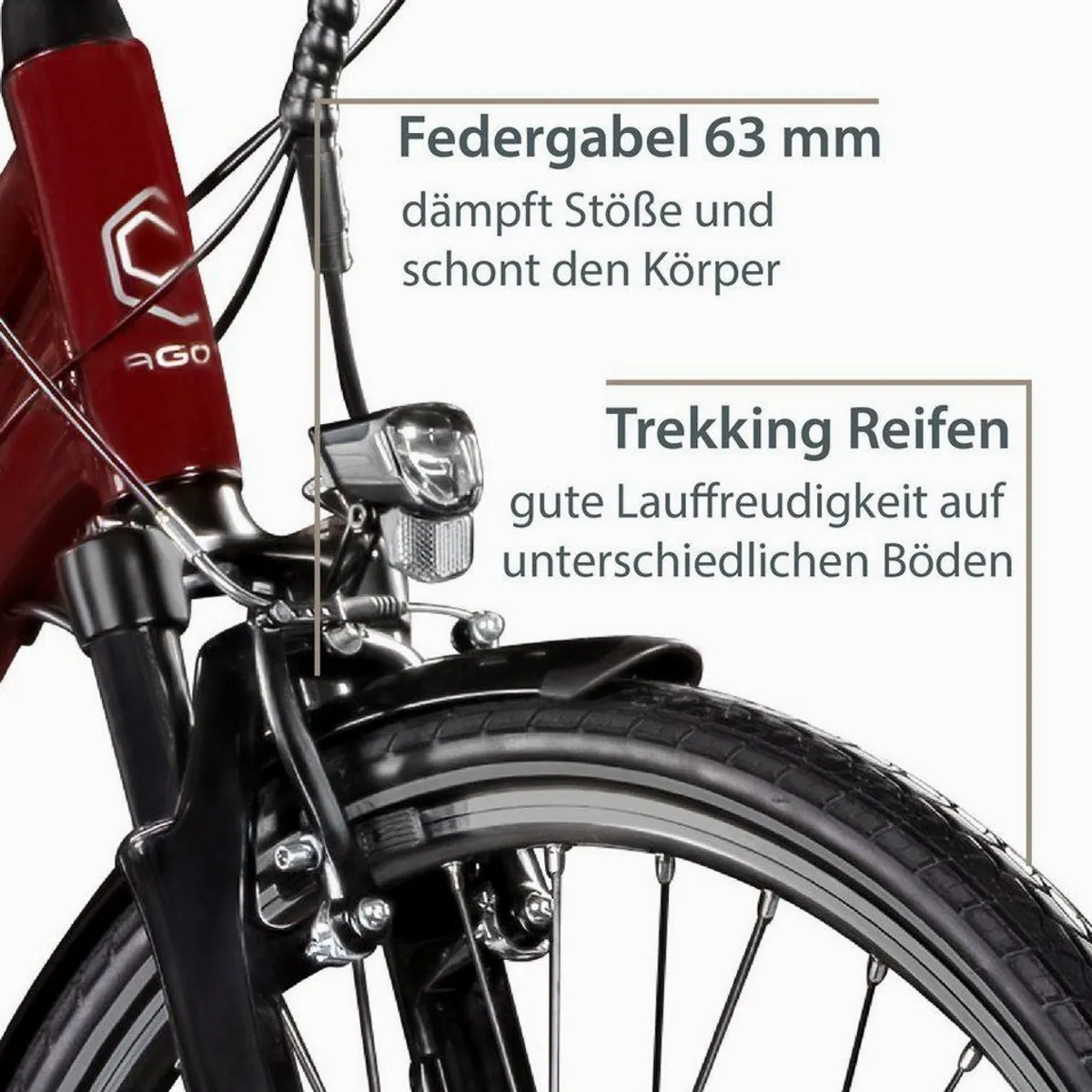 Agon Avesa E-Bike Trekkingrad, 21 Gang, 250W Heckmotor, 374 Wh Akku 3