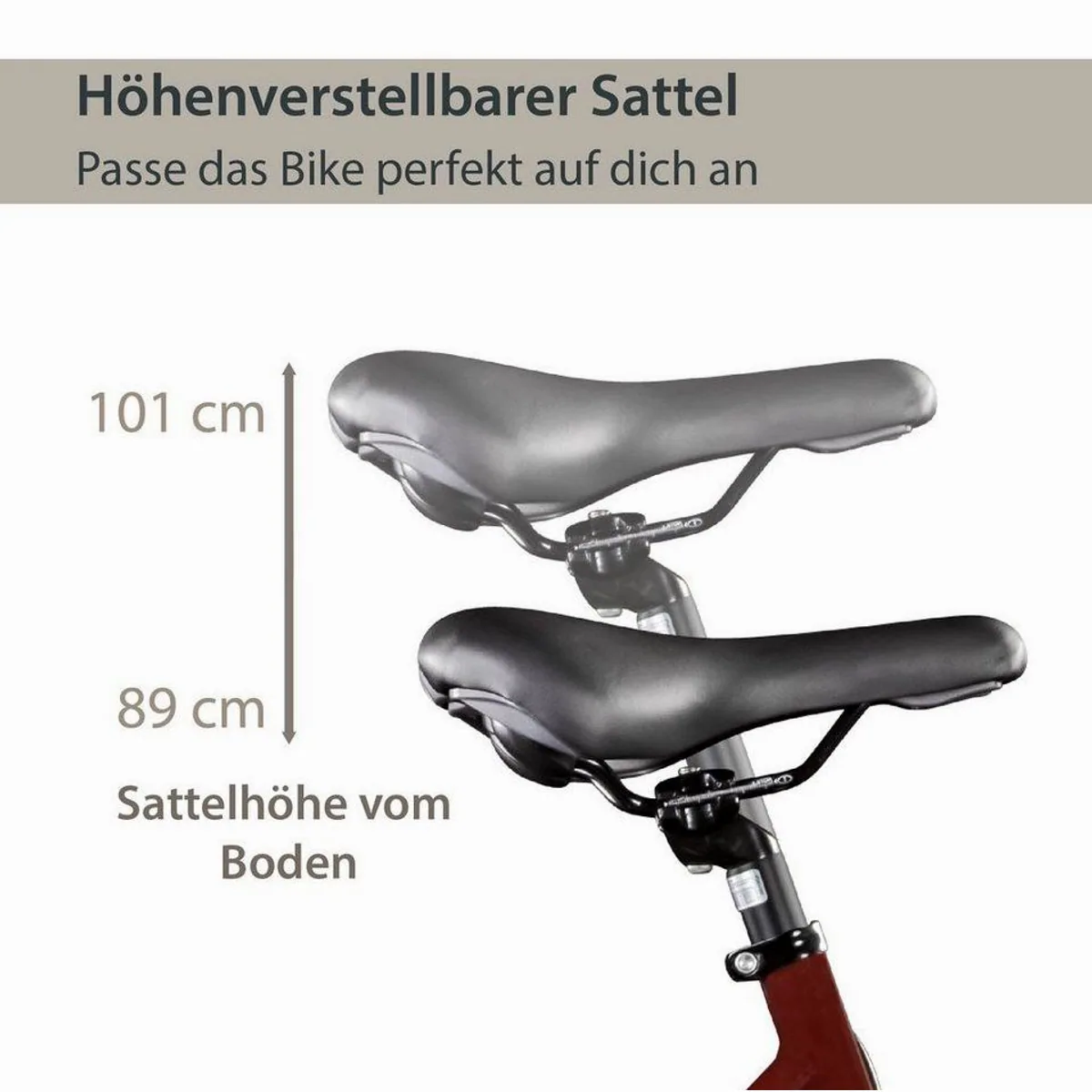 Agon Avesa E-Bike Trekkingrad, 21 Gang, 250W Heckmotor, 374 Wh Akku 4