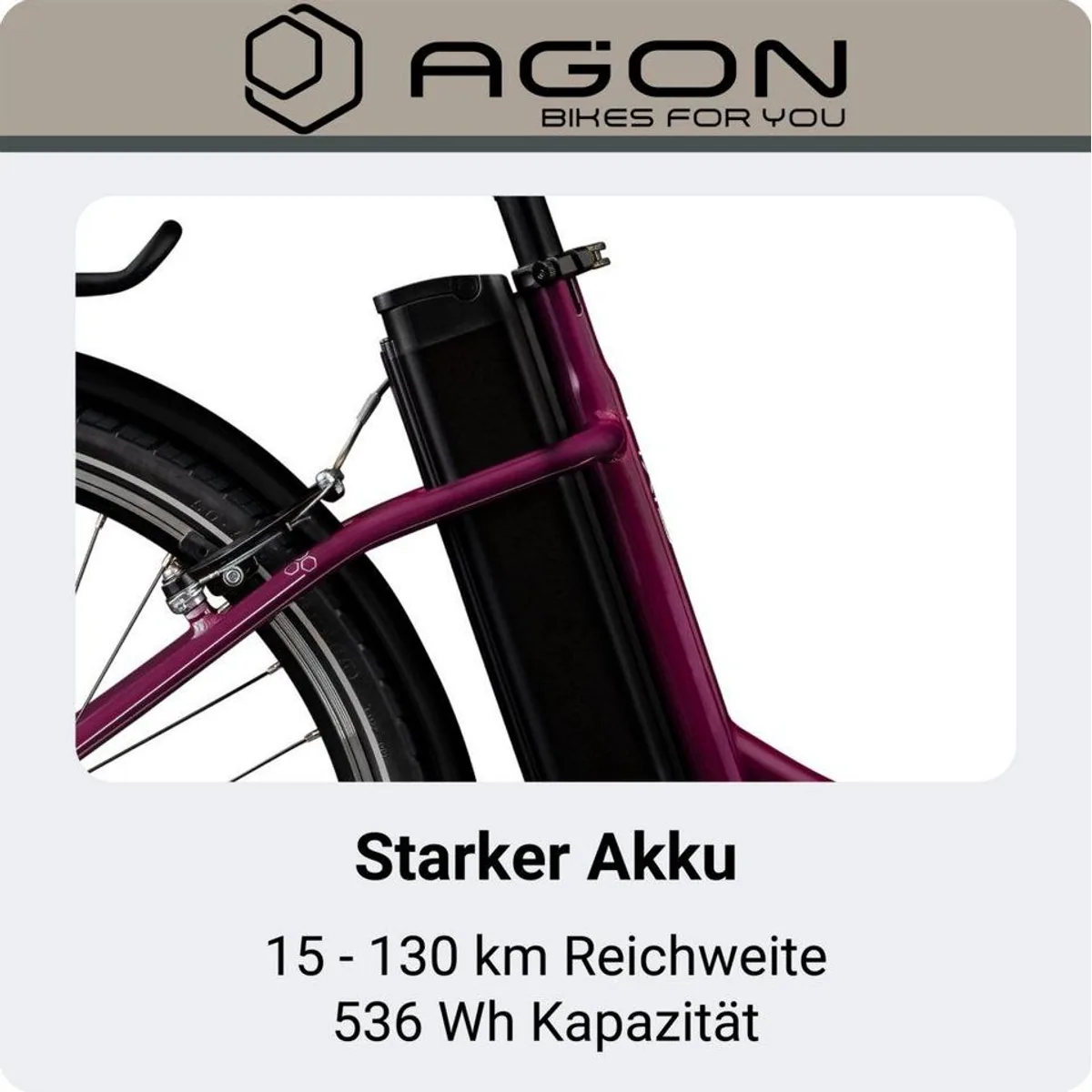 Agon E-Bike Cityrad Axis, 3 Gang, wartungsfreie Nabenschaltung, 536 Wh Akku 2