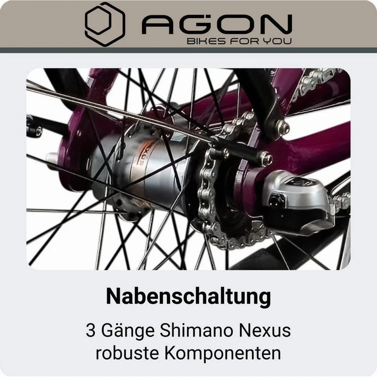 Agon E-Bike Cityrad Axis, 3 Gang, wartungsfreie Nabenschaltung, 536 Wh Akku 4