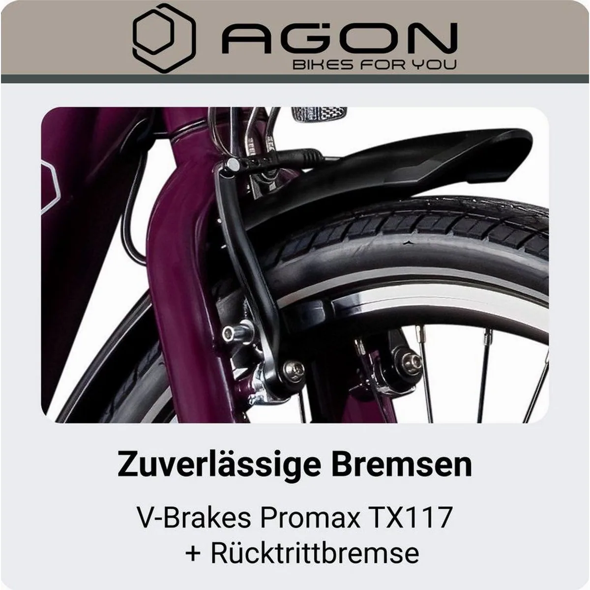 Agon E-Bike Cityrad Axis, 3 Gang, wartungsfreie Nabenschaltung, 536 Wh Akku 5