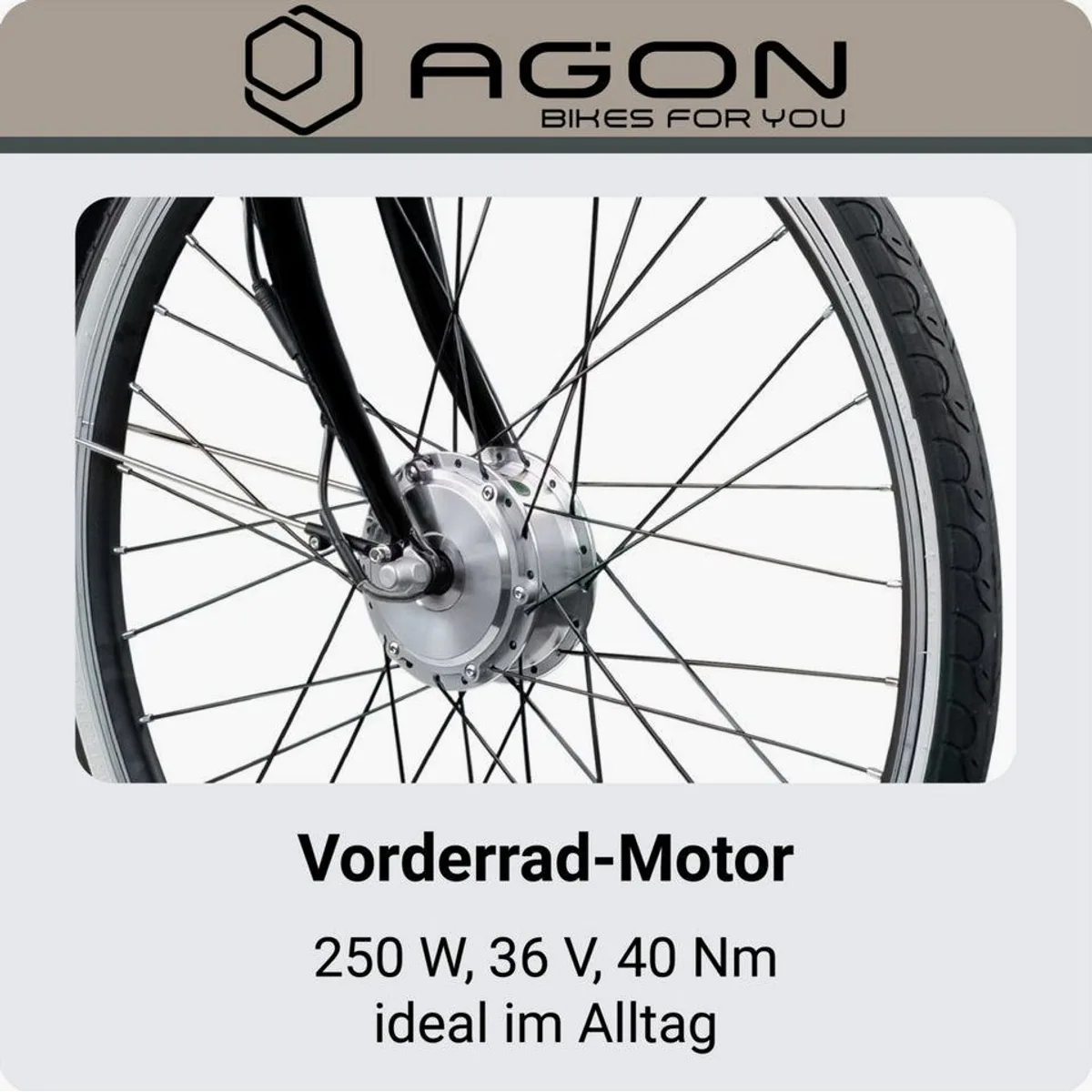 AGON E-Bike Cityrad Assist, tiefer Einstieg, 3 Gang Nabenschaltung, 374 Wh 3