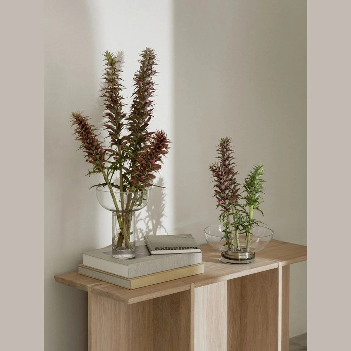 blomus Engawa Sitzbank, modernes Design, robustes Eichenholz, vielseitige Nutzung 3