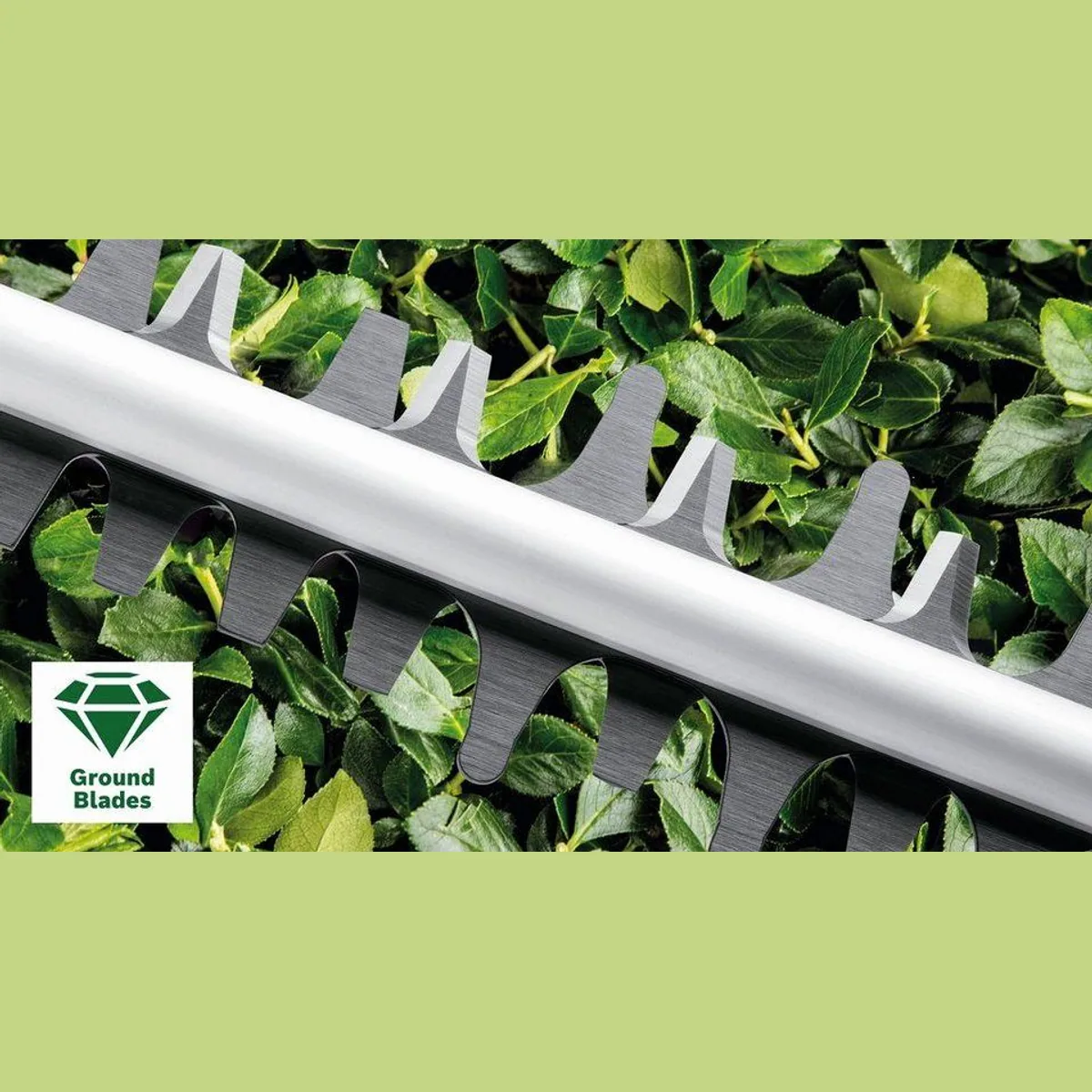 Bosch Home & Garden AdvancedHedgeCut 65, leise, leistungsstark, präzise Schneidleistung 2