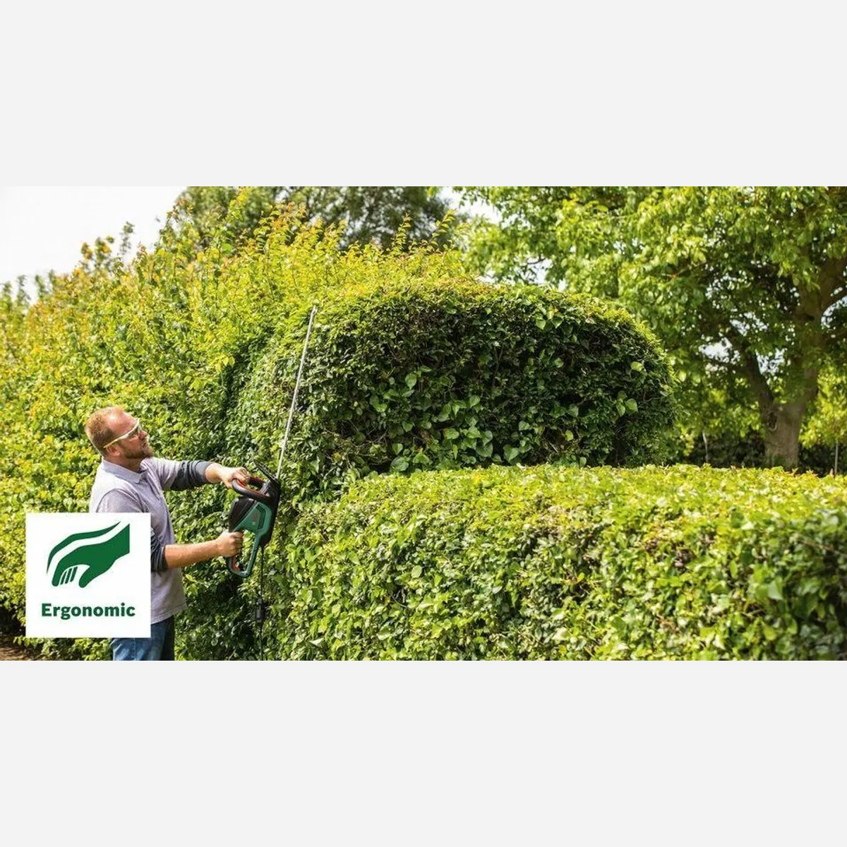 Bosch Home & Garden AdvancedHedgeCut 65, leise, leistungsstark, präzise Schneidleistung 3