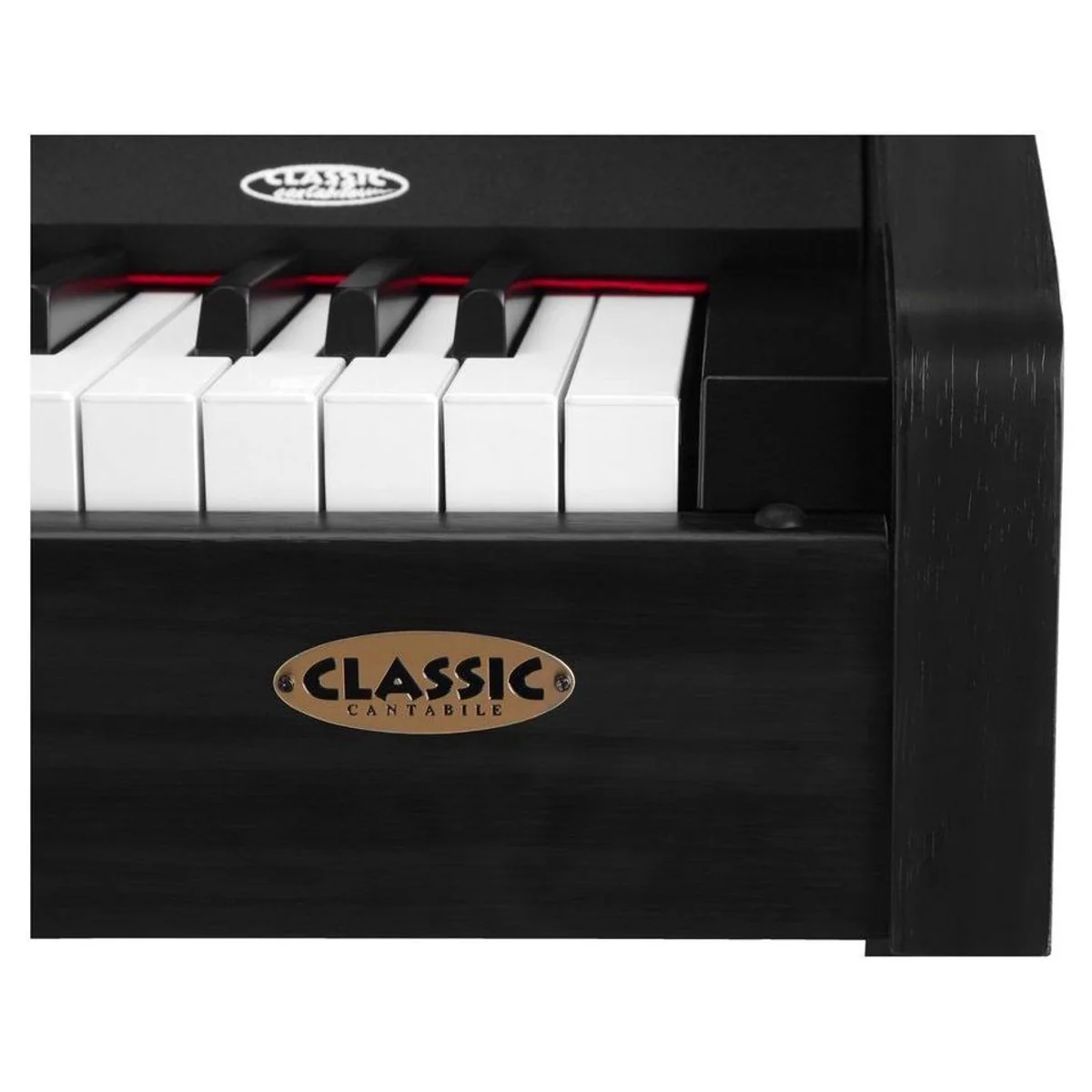 Classic Cantabile DP-210 Digitalpiano, 88 Tasten mit Hammermechanik, Dual Mode, USB-Anschluss 5