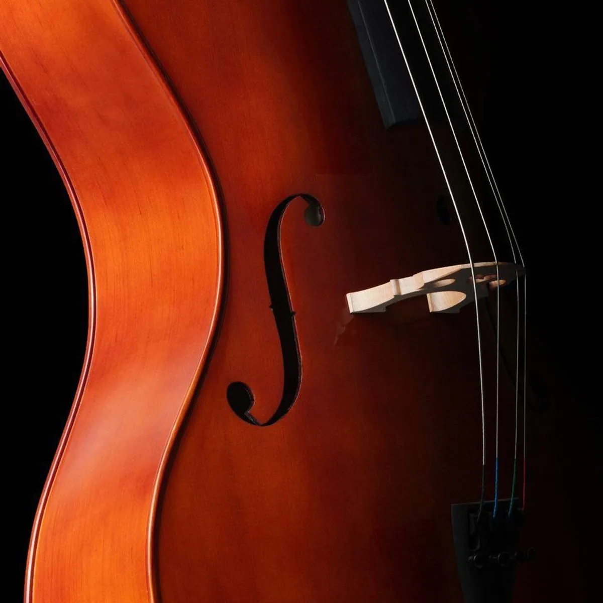 Classic Cantabile CP-200 4/4 Cello-Set, vollmassiv, klangstark, komplett mit Zubehör 2