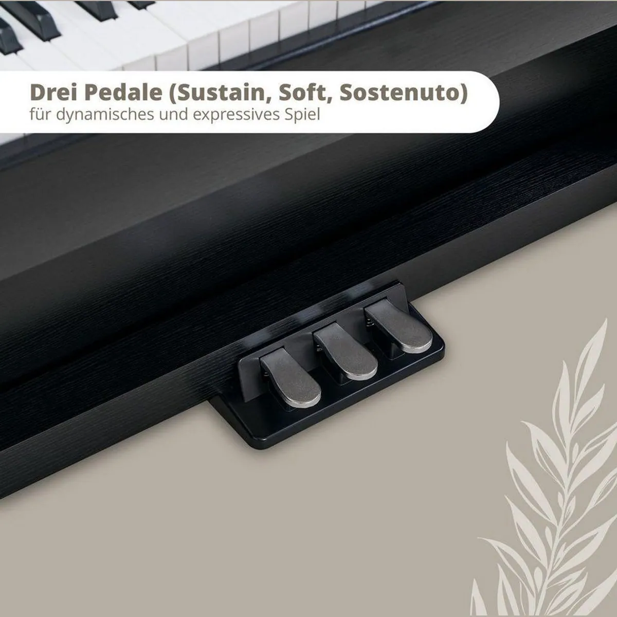 Classic Cantabile DP-220 Digitalpiano Set, 88 gewichtete Tasten, vielseitige Funktionen 3