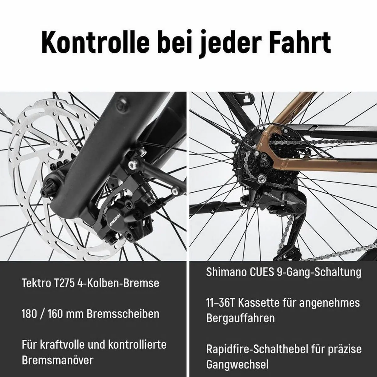 DERUIZ E-Bike Cityrad Quartz Pro 2026, 100 Nm Mittelmotor, 644 Wh, 9-Gang Shimano 4