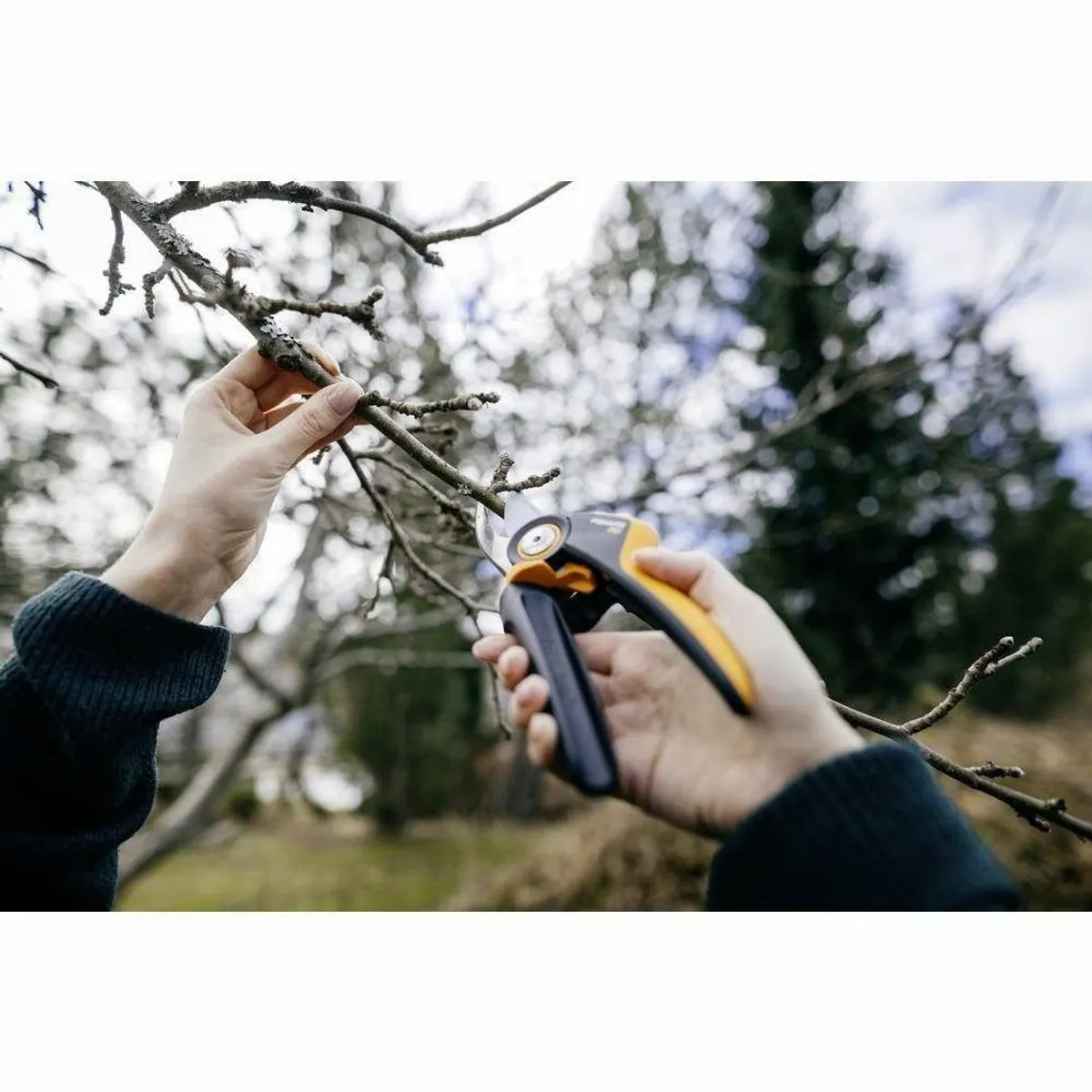 Fiskars X-series M Bypass-Gartenschere, maximale Schneidkraft, ergonomische Handhabung 2