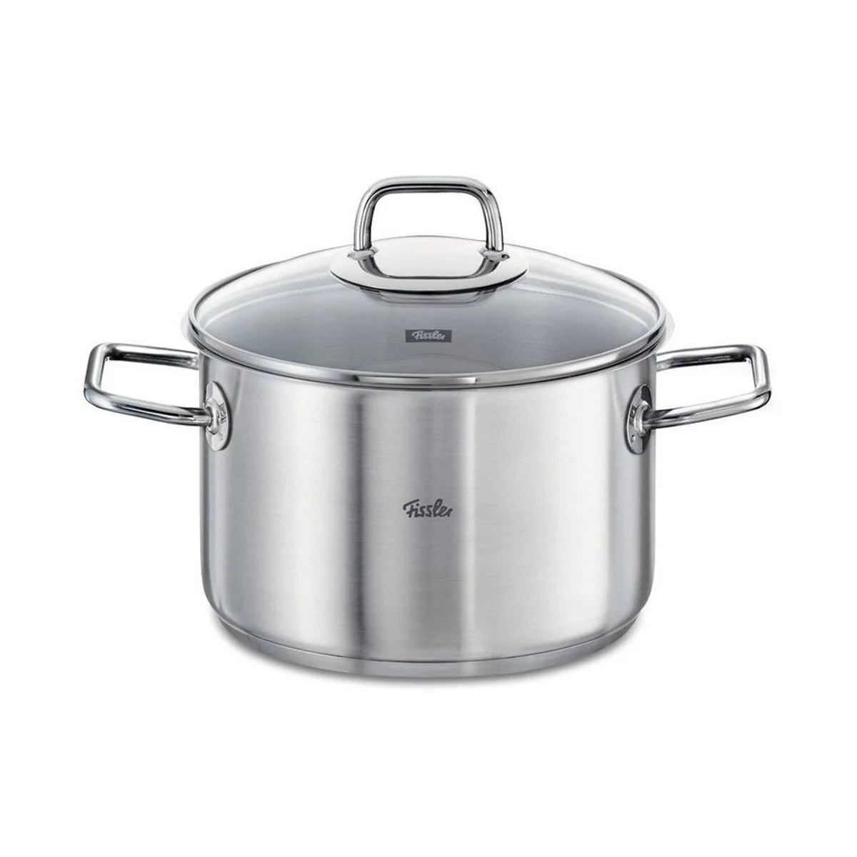 Fissler Kochtopf viseo, Edelstahl, Induktionsgeeignet, Robuste Bauweise