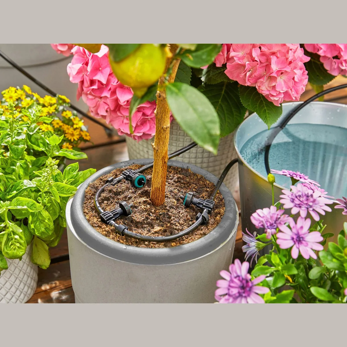 GARDENA AquaBloom Set, solarbetrieben, bewässert bis zu 20 Pflanzen 4