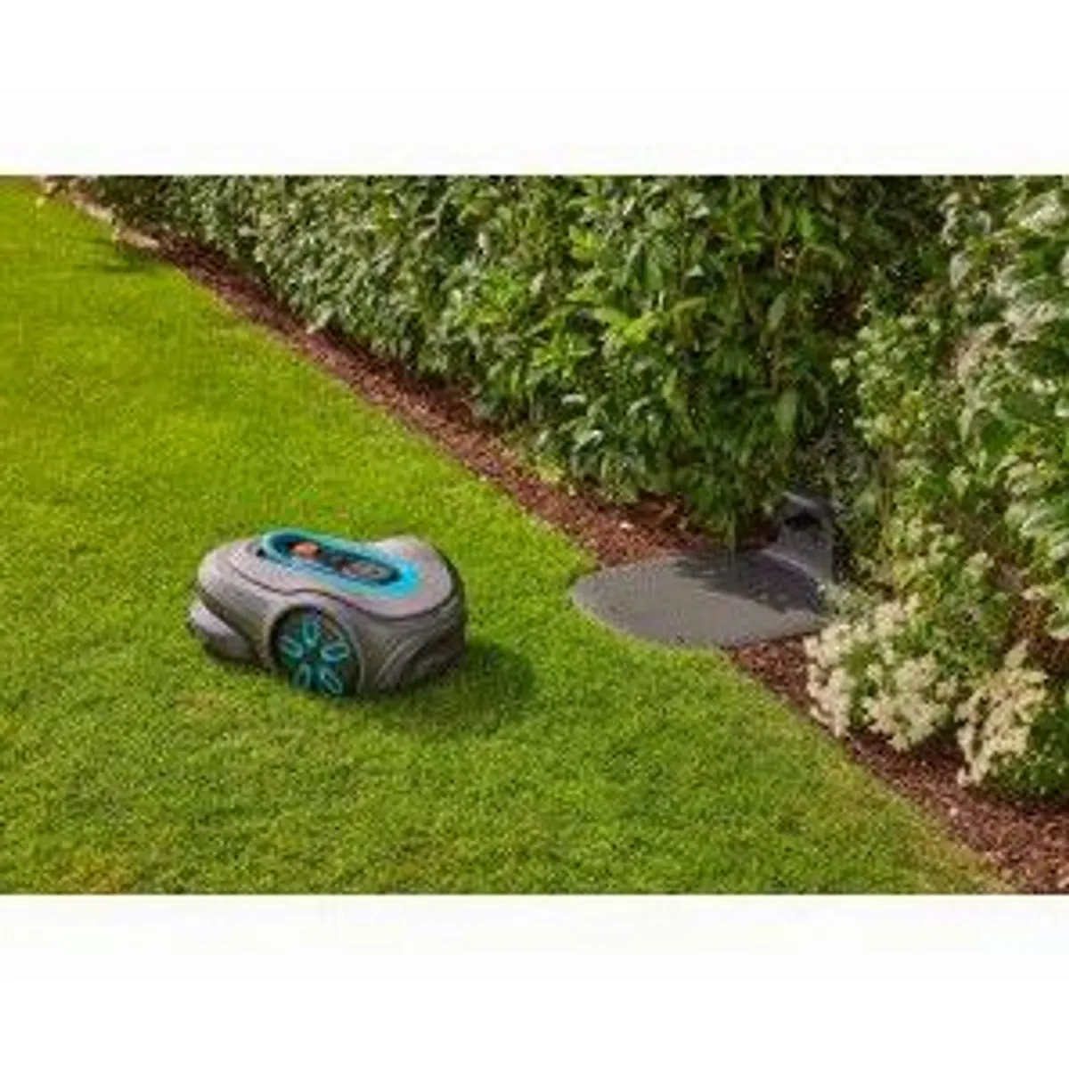 Gardena Mähroboter SILENO free Set, für Flächen bis 1200 m², kabellos und smart 4