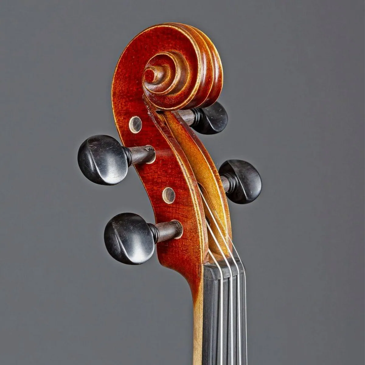 Gewa Violingarnitur Allegro 4/4, hochwertiges Holz, leichter Carbon-Bogen — inkl. Softcase 5