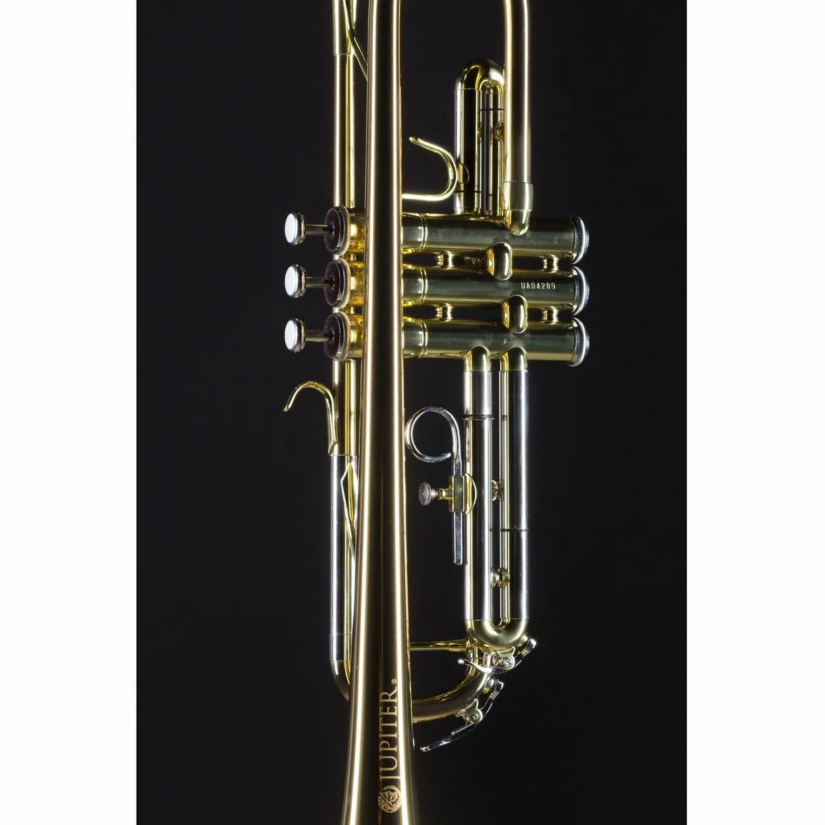 Jupiter JTR700 RQ Bb-Trompete, Goldmessing-Schallbecher, verstellbarer Fingerring, robuste Ventile 5