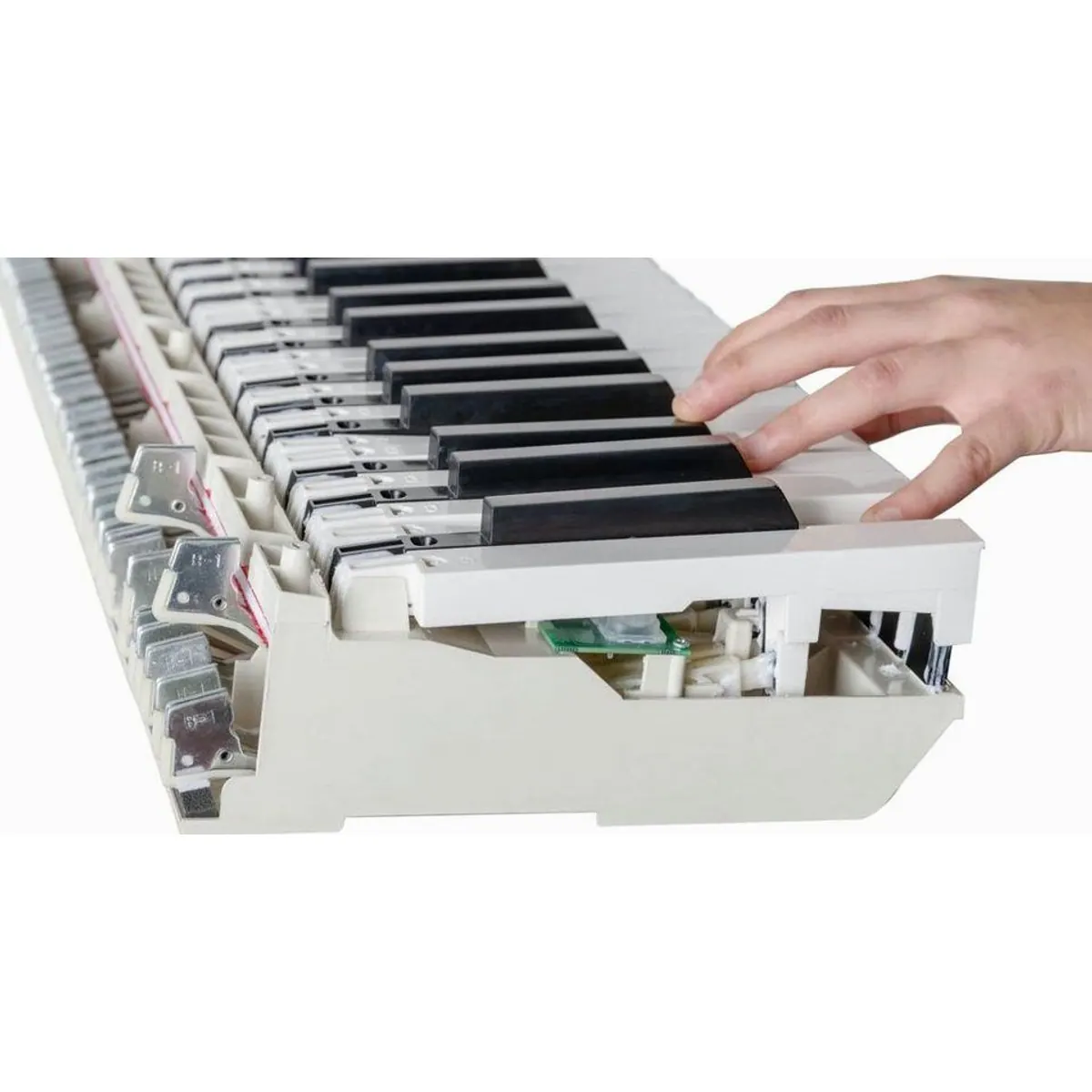 McGrey DP-19 Digitalpiano, gewichtete Hammertastatur, 128-fache Polyphonie — ideal für Einsteiger 5