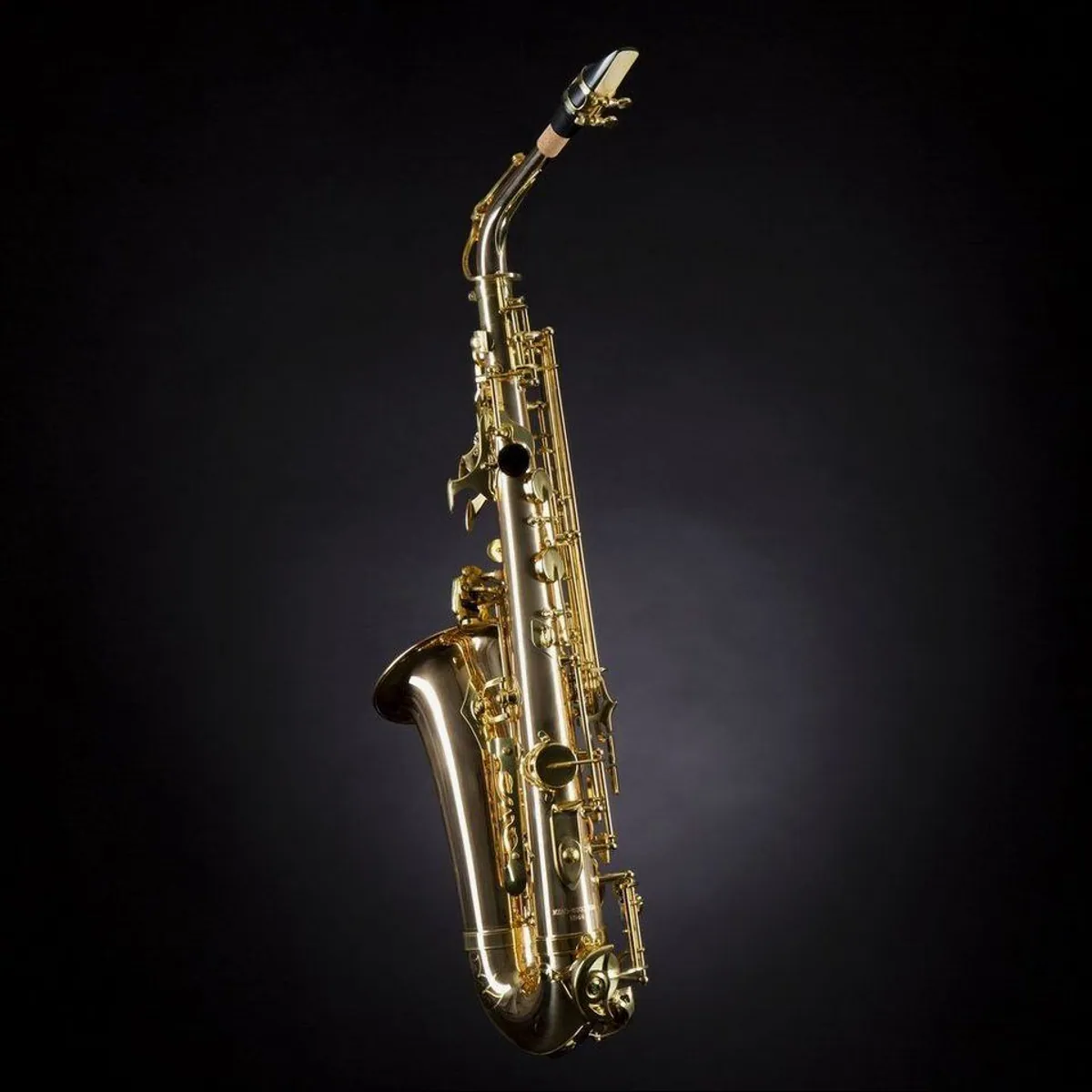 Monzani MZAS-533 II GM Alt Saxophon, druckvoller Sound, ergonomische Mechanik, inklusive Etui 4