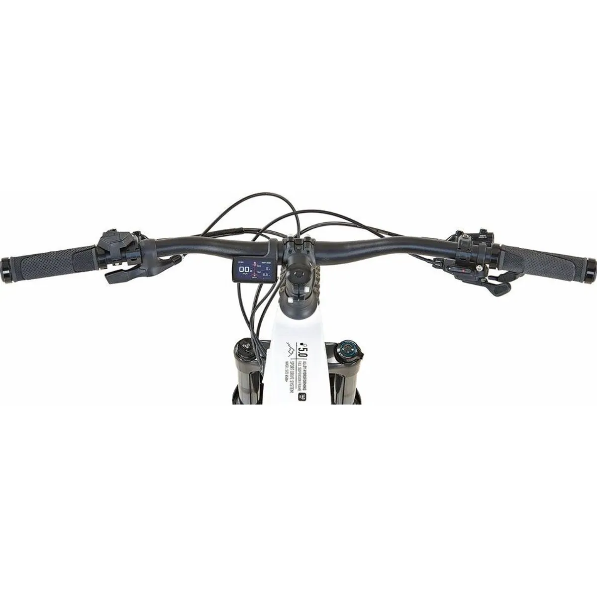 Prophete Dice 5.0 E-Bike MTB, 720 Wh Akku, 12-Gang Shimano Deore, Mittelmotor 3