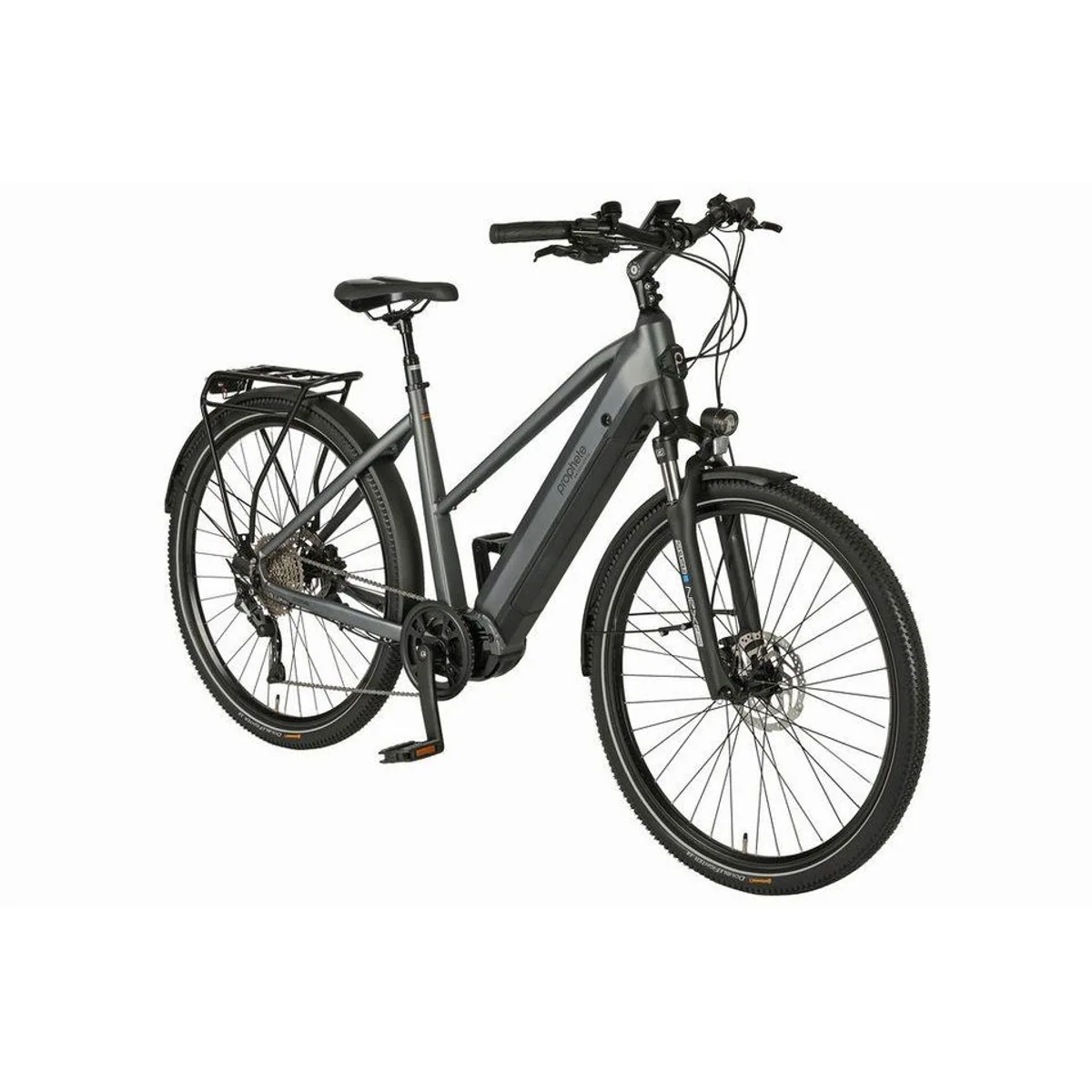 Prophete Entdecker 5.8 E-Bike, kraftvoller Mittelmotor, 10-Gang Shimano Deore, 800 Wh Akku 2
