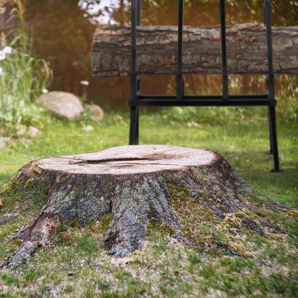 relaxdays Sägebock, 400 kg max. Belastbarkeit, für Holz bis 37 cm Durchmesser 5