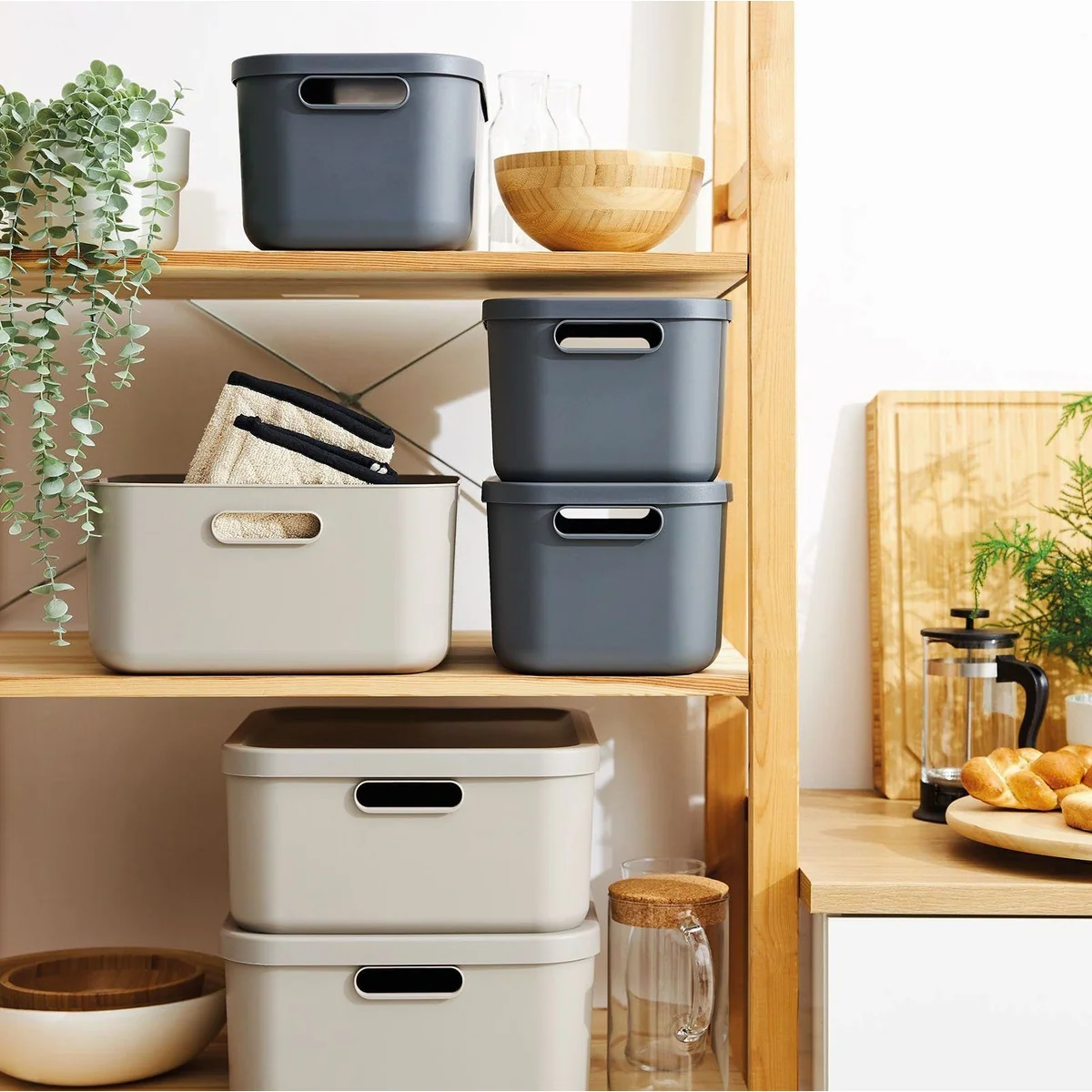 Rotho Albula Light Aufbewahrungsbox 20 l, stapelbar, modernes Design, 2er-Set 5