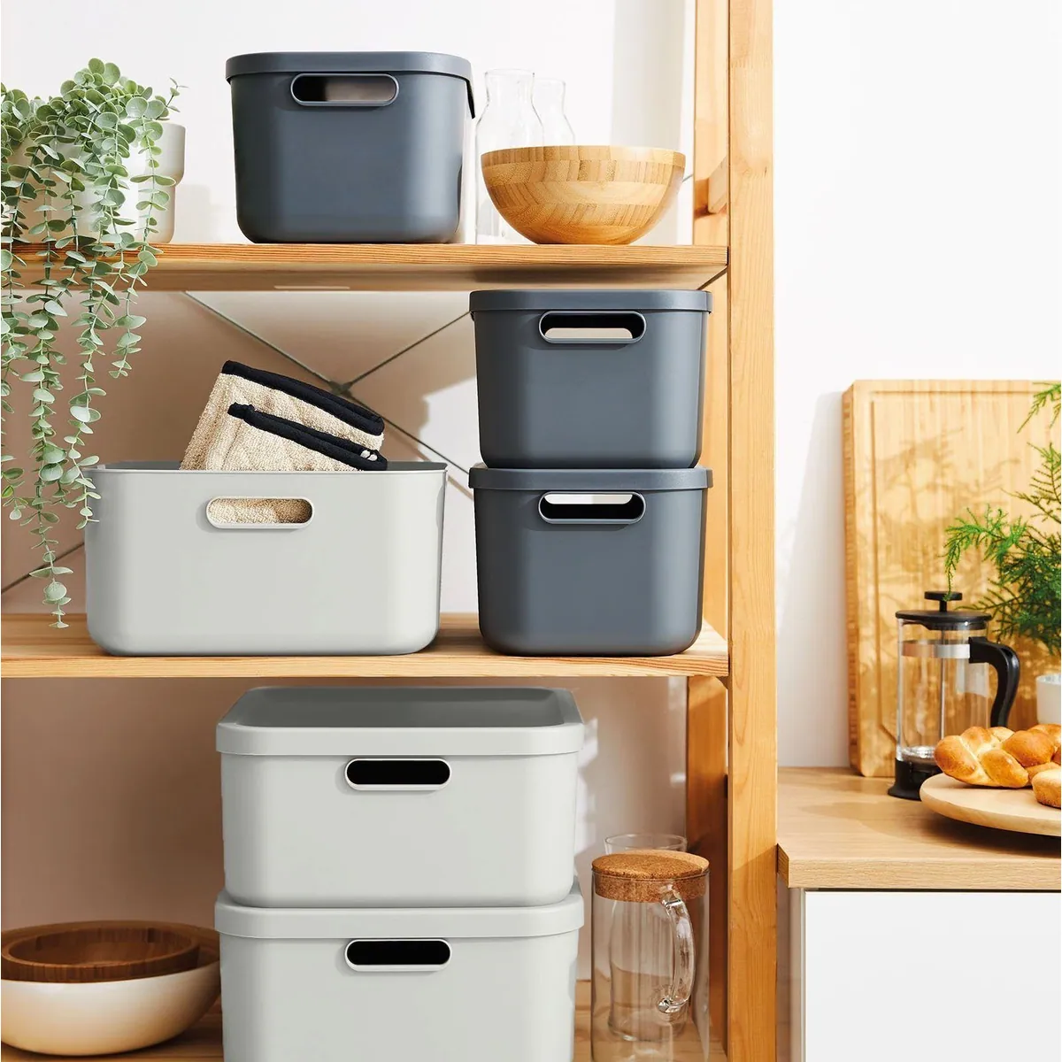 ROTHO Albula Aufbewahrungsbox Set, 1x 55l & 2x 20l, stapelbar, modular, ergonomische Griffe 4