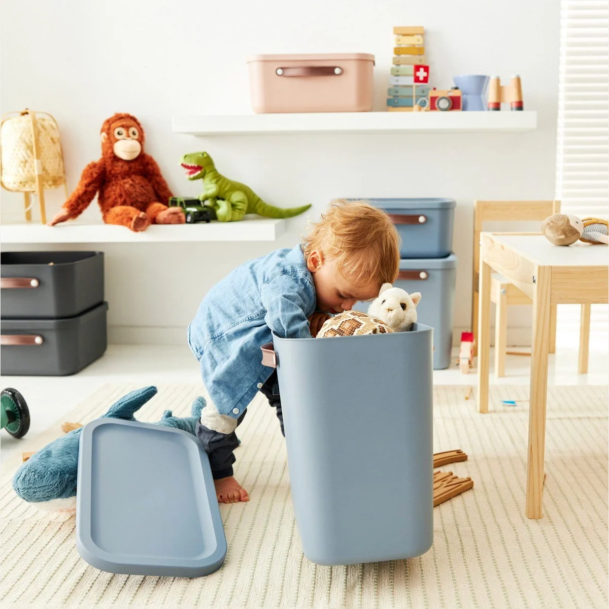 Rotho Maloja Aufbewahrungsbox 2er-Set, 25l Volumen, ergonomische Griffe, pflegeleicht 5