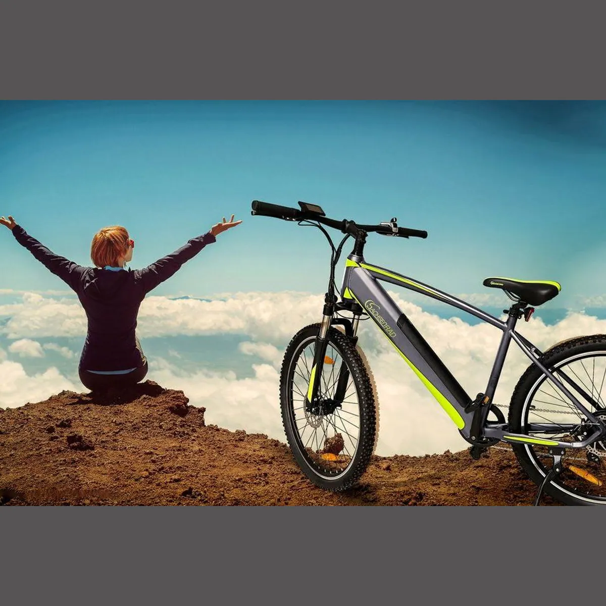 SachsenRAD E-Bike R8 Flex III, 9-Gang Shimano, leistungsstarker Heckmotor, 520 Wh 5
