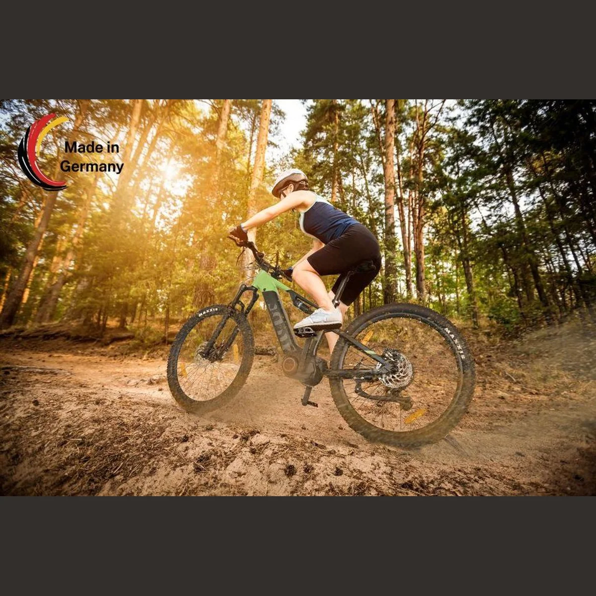 SachsenRAD E-Bike M5T, 12 Gang Shimano, Mittelmotor, 720 Wh Akku, TFT Farb-LCD-Display 4
