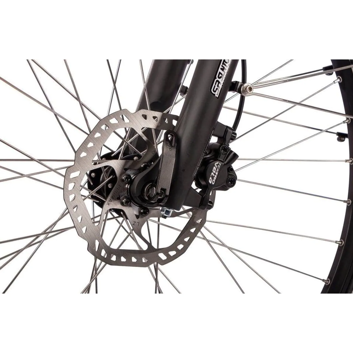 SAXONETTE E-Bike Trekkingrad Deluxe Sport, 9-Gang Shimano, Mittelmotor, 418 Wh 5