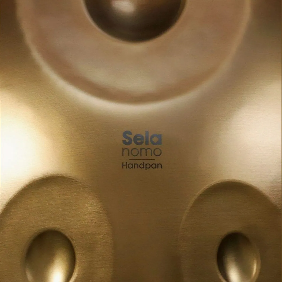 Sela Nomo SEHP400 Handpan, Edelstahl, D-Kurd Stimmung, Pflegeset inklusive 5