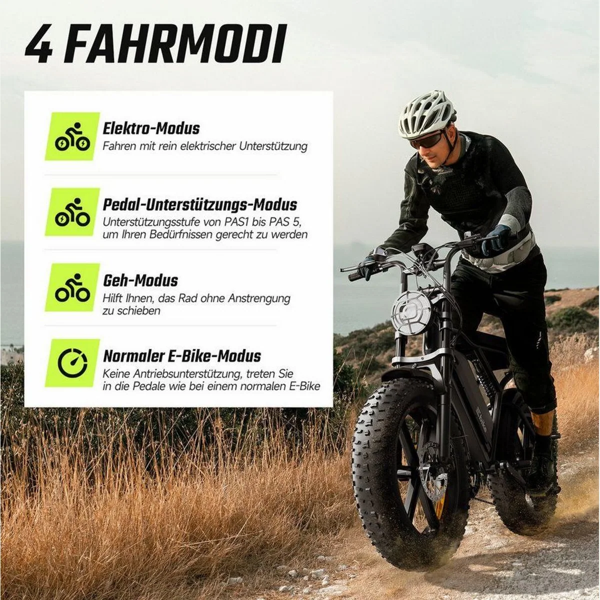 SISIGAD R002 PLUS E-Bike, 130 km Reichweite, 204 kg Tragkraft, 7-Gang Schaltung 4