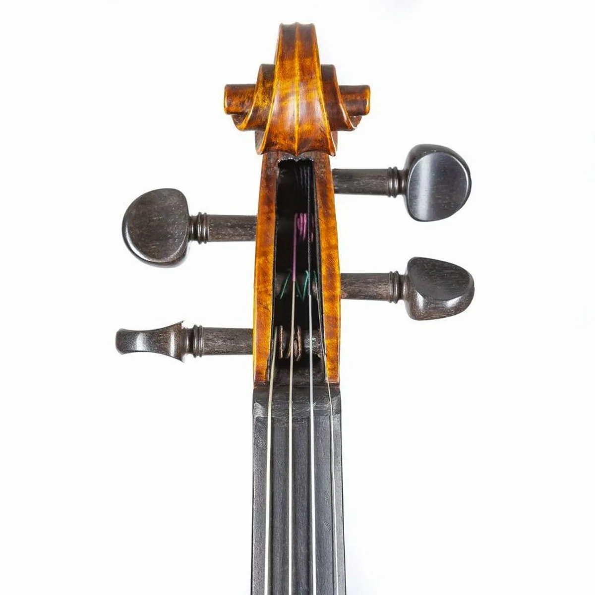 Stentor Messina 4/4 Violine, klare Klangqualität, strapazierfähige Bauweise, elegantes Design 5
