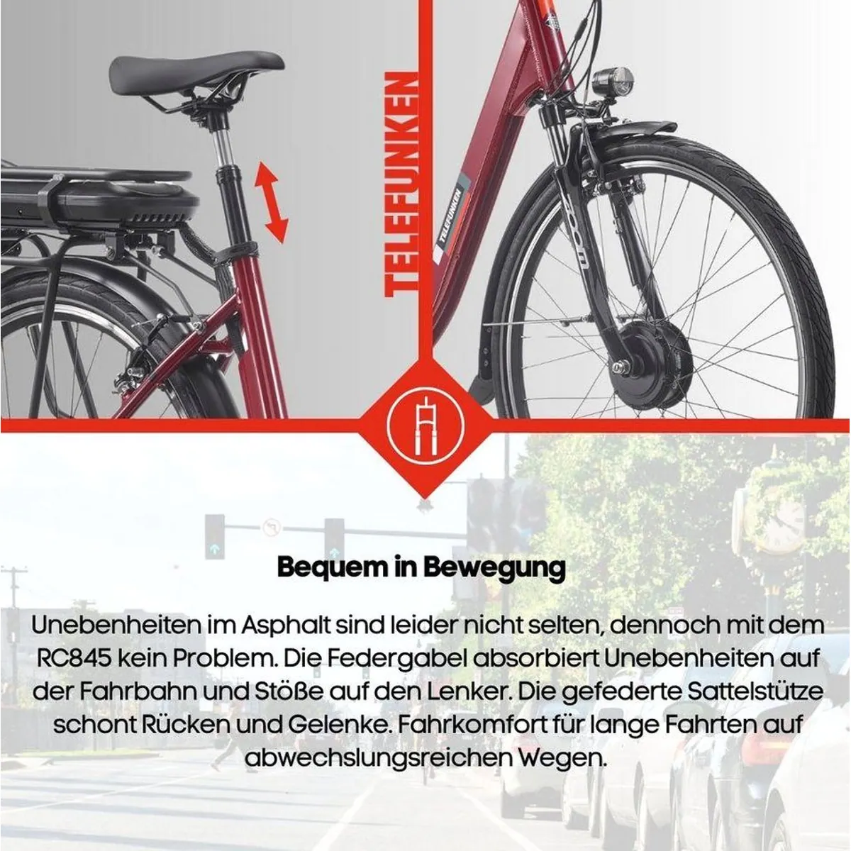 Telefunken E-Bike RC845, 250 W Frontmotor, 7-Gang-Nabenschaltung, 100 km Reichweite 5