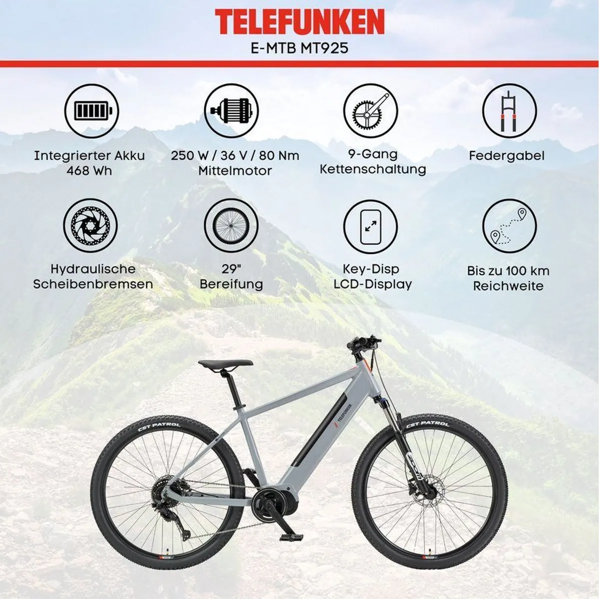 Telefunken E-Bike MT925, kraftvoller Mittelmotor, 9-Gang Shimano Schaltung, 29 Zoll 5
