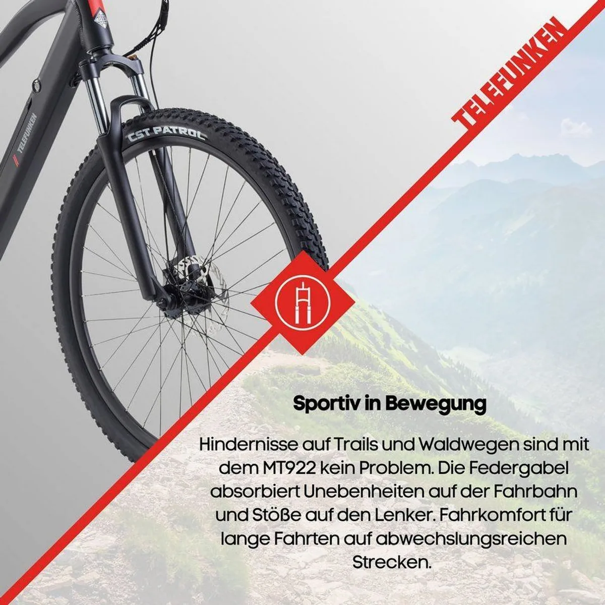Telefunken MT922 E-Mountainbike, 250W Heckmotor, 29 Zoll, 7-Gang Shimano Schaltung 5