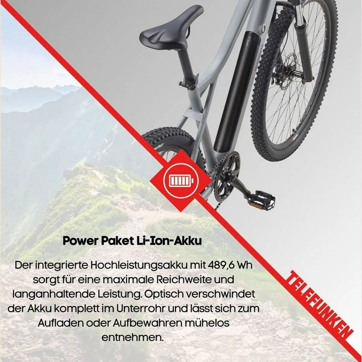 Telefunken MT922 E-Bike, 250W Heckmotor, 29 Zoll, 7-Gang Shimano 5