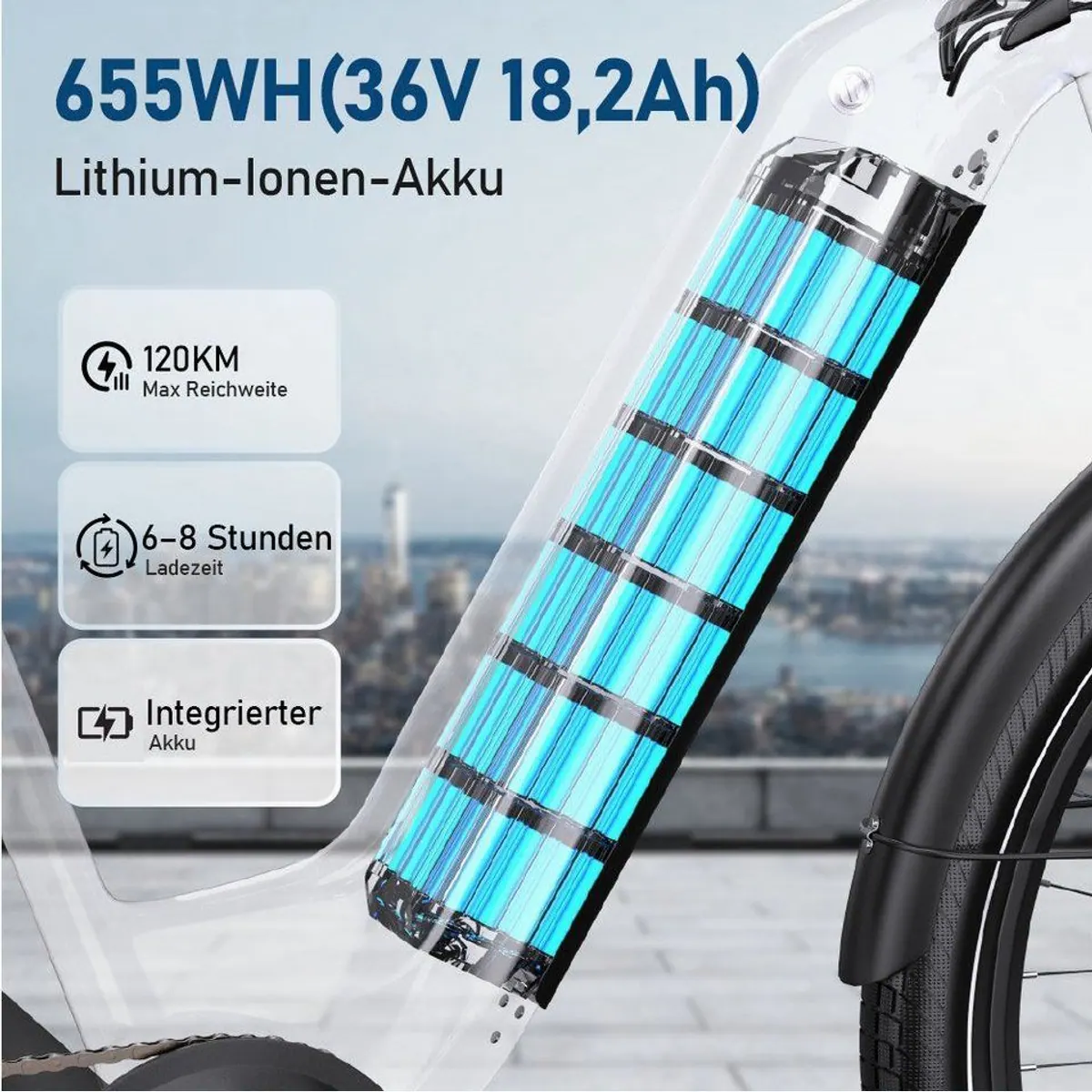 Vankel E-Bike OT05, 655Wh Akku, 250W Heckmotor, Shimano 7-Gang 5