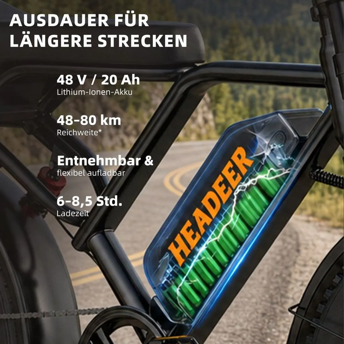 Vankel bk20 E-Fatbike, 250W Motor, 960 Wh Akku, Vollfederung 3