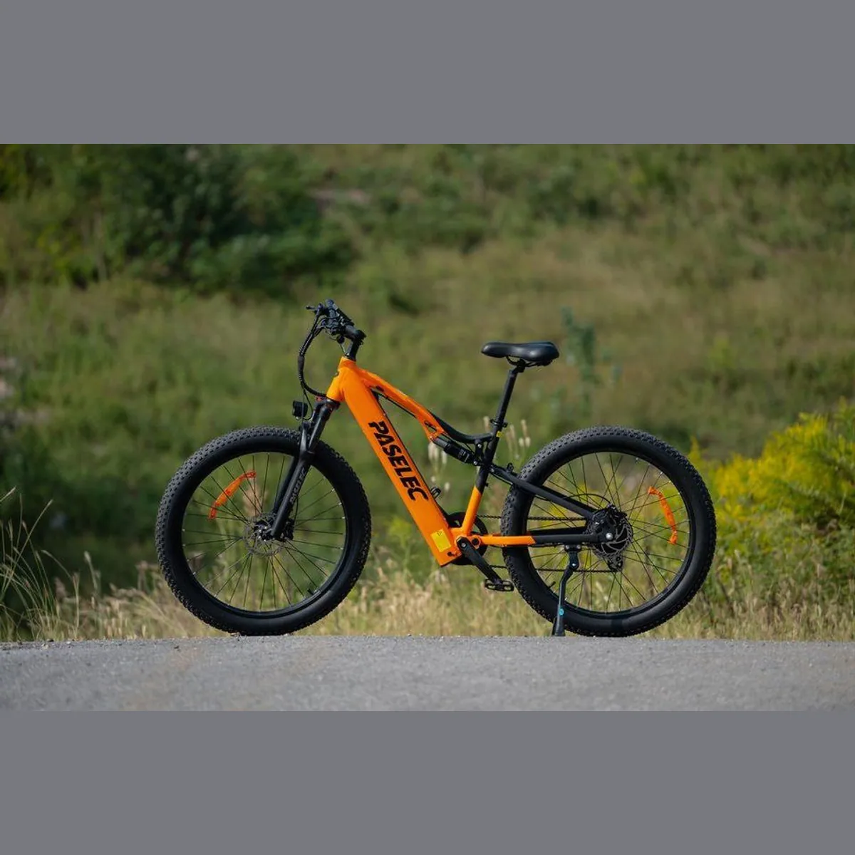 Vankel GS9 E-Bike, 250W Heckmotor, 80 km Reichweite, 8-Gang-Schaltung 5