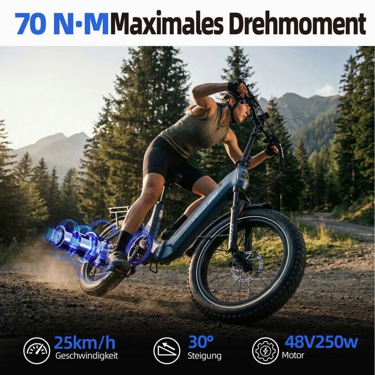 Vankel 20 Zoll Fully Klapprad, faltbar, 150 km Reichweite, 250 W Heckmotor 4